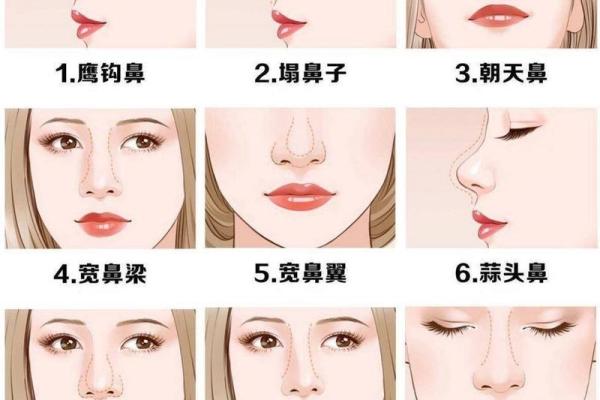 鼻型与健康面相的关联与诊断技巧