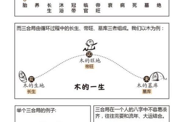 地支三合的奥秘与命理解析