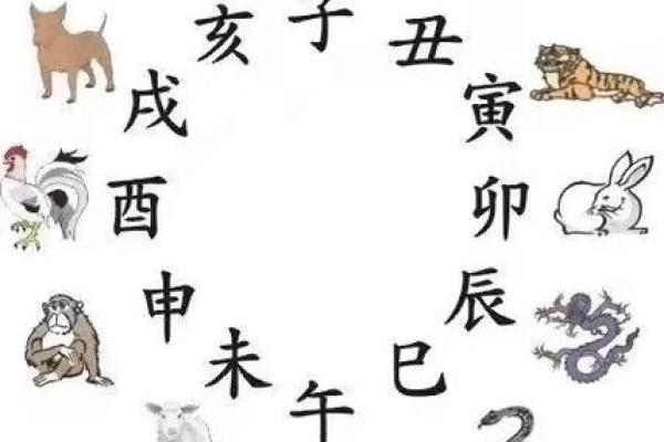 从八卦命理看家庭和谐与人际关系