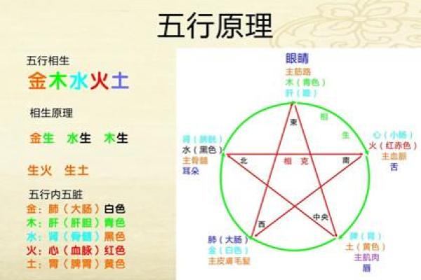 发字在五行中的属性解析