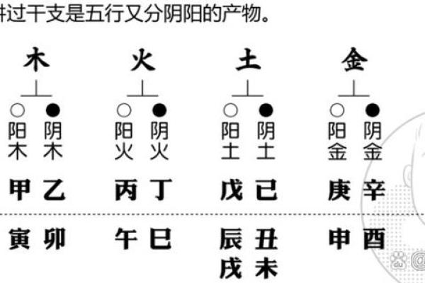 地支五行属性解析：揭示天干地支与五行的深刻关系