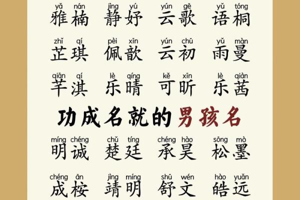 龙姓男孩取名指南：寓意吉祥、音韵和谐的名字大全