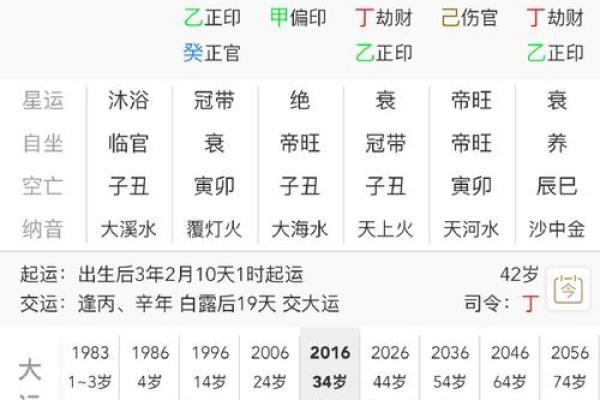 地支伤官见官的命理解析与运势影响