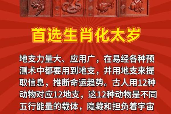 地支伤官见官的命理解析与运势影响
