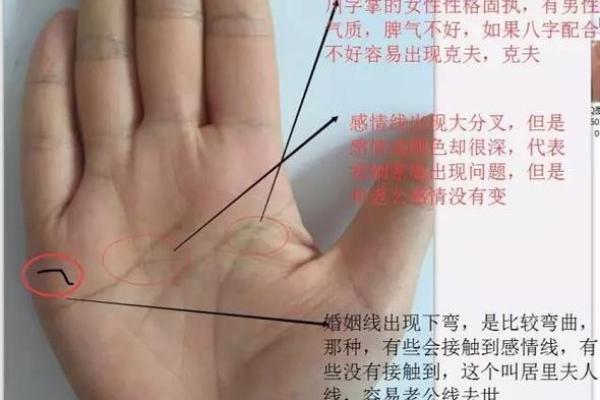 手相中的夫妻缘分：如何解读婚姻中的幸福与挑战