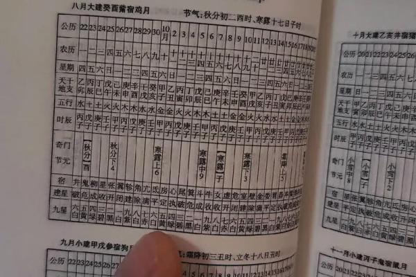 八字地支在命理学中的重要性与应用分析