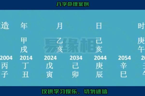 八字地支在命理学中的重要性与应用分析