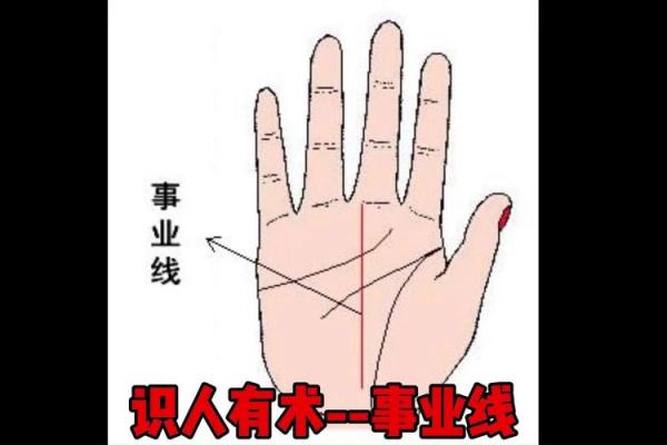 解读事业线：如何通过手相揭示你的职业潜力和发展方向