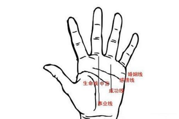 解读事业线：如何通过手相揭示你的职业潜力和发展方向