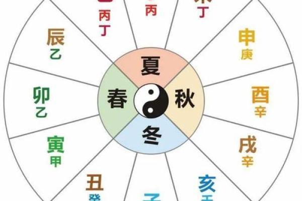 地支循藏与五行理论的深度解析与应用