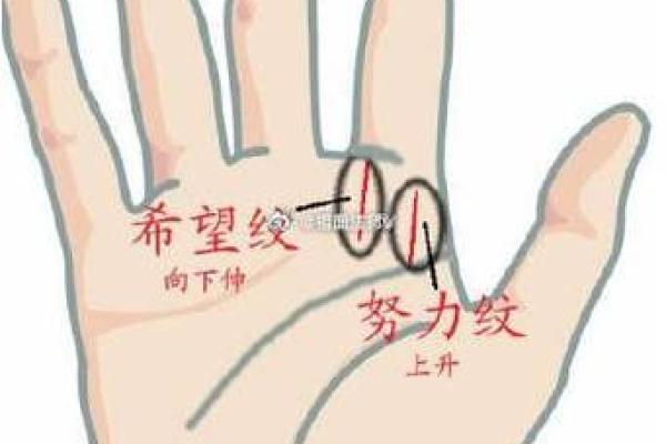 中指手相的秘密：如何通过手掌看未来运程