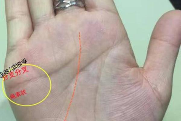 中指手相的秘密：如何通过手掌看未来运程
