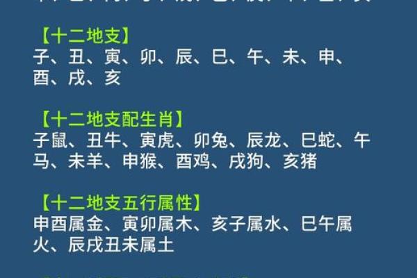 从地支关系图看生肖命理：十二地支的相互作用与影响