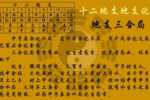 从地支关系图看生肖命理：十二地支的相互作用与影响