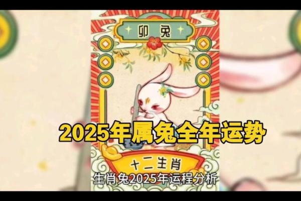 今日属兔运势走势：保持冷静应对生活中的波动