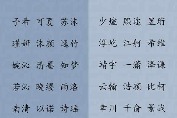 范姓女孩取名的艺术与技巧：如何选择寓意深远的名字