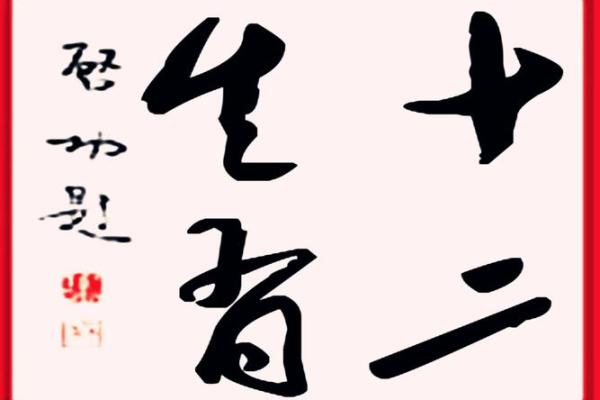 今日生肖运势概览：好运与挑战共存