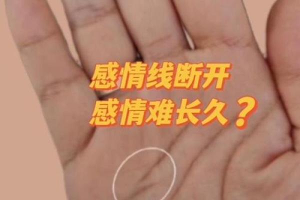 解读手相照片中的命运玄机