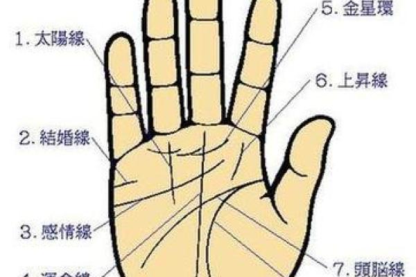 男士手相图解：如何通过掌纹预测人生轨迹