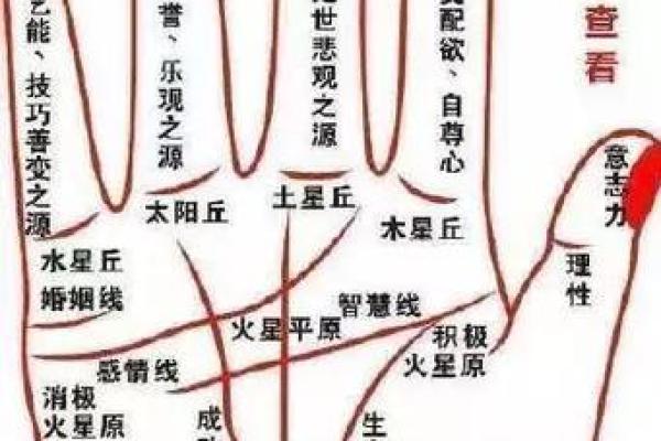 男士手相图解：如何通过掌纹预测人生轨迹