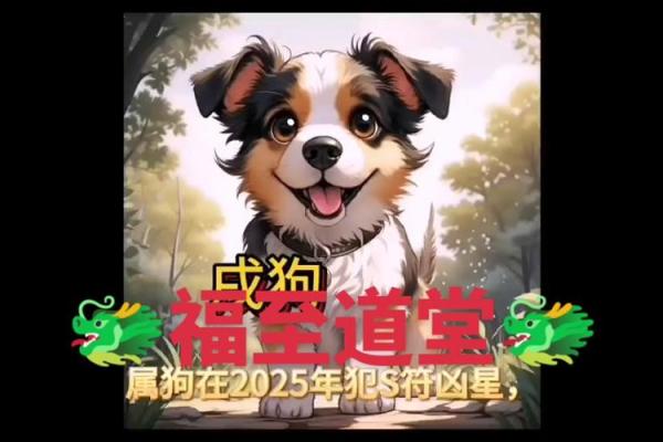 狗年属狗者今日运势分析 持稳守成
