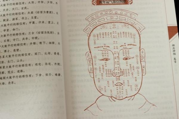 洪欣命理解析：如何通过八字看个人运势和性格特征