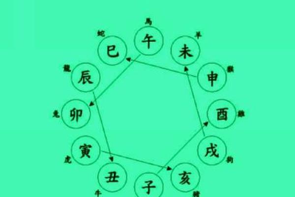 地支连珠的神秘影响与命理解析