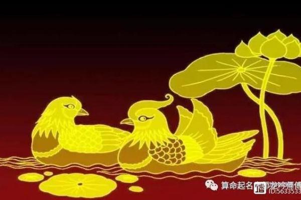 地支连珠的神秘影响与命理解析