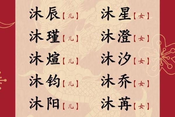 龙年男孩起名大全：富贵吉祥之选