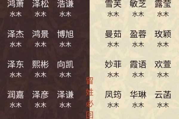 龙年男孩起名大全：富贵吉祥之选