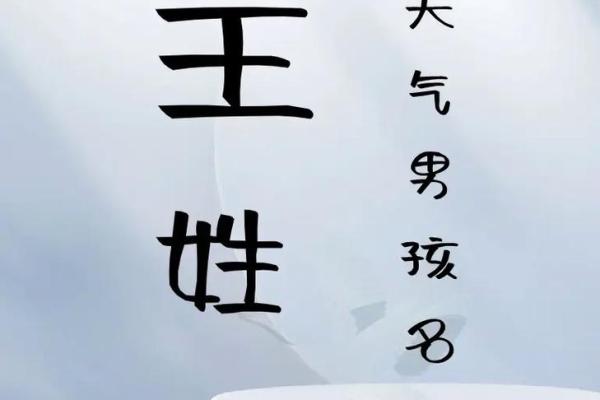 给王姓宝宝起个独特又有文化底蕴的名字