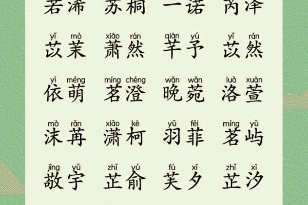 女孩名字寓意深远的字选取指南