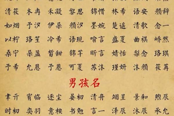 蛇年宝宝起名推荐：寓意深远的名字选取方法