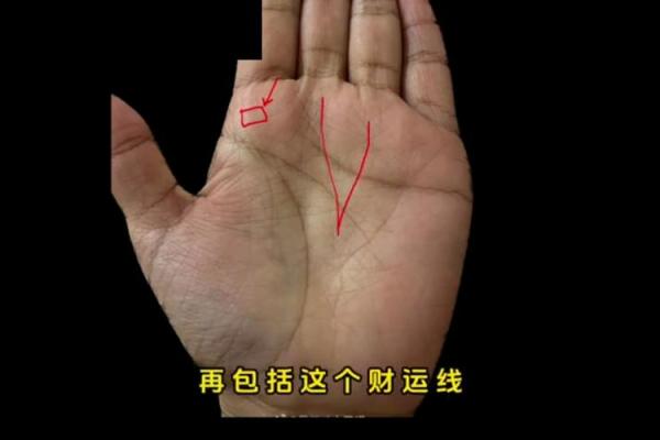 男子手相分析：从掌纹看你的人生轨迹与未来运势