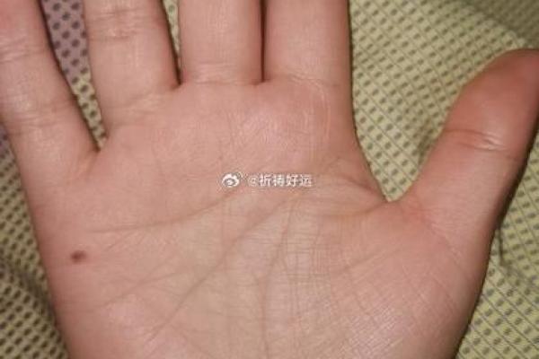 揭开手相的神秘面纱：它能告诉你什么？