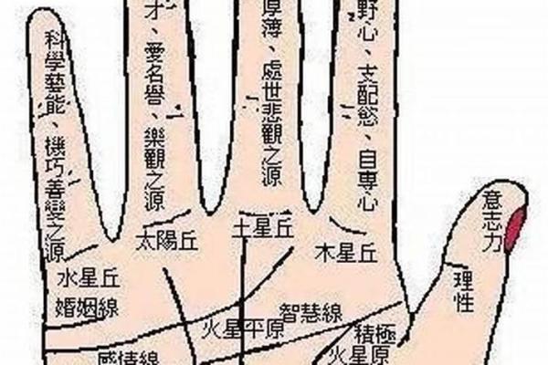 手指与命运的关系：探索手相中的五大指示