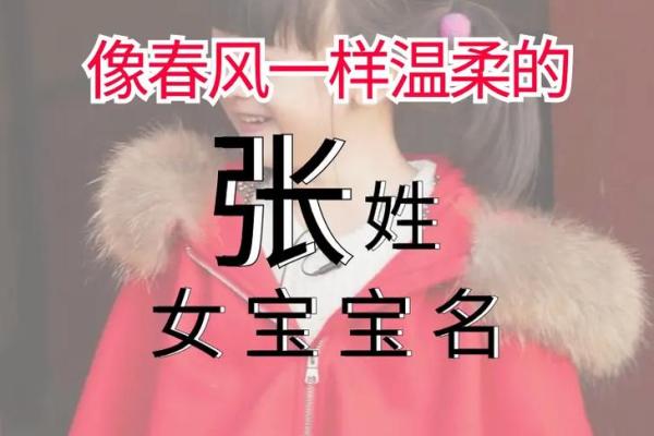 张姓取名技巧与创意建议