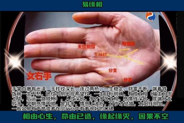 手相学告诉你：男人的财富与爱情运势