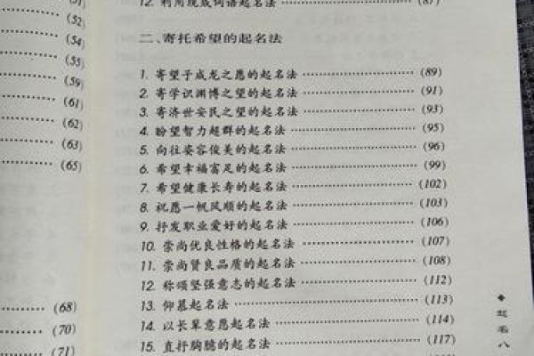 公司起名的法律规定与注意事项解析