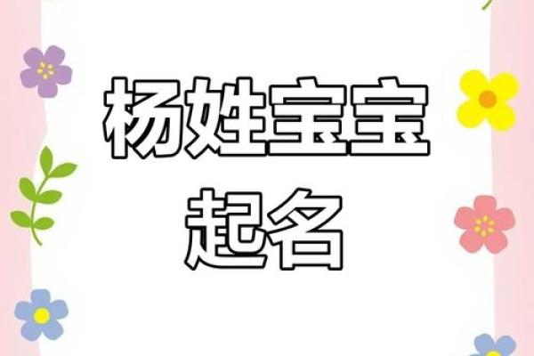 杨姓起名方法大全：适合男孩女孩的命名建议