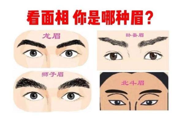 耳高过眉的男人面相分析与性格特点解析