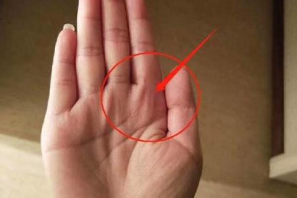 横纹手相解析：揭示你生命中的关键转折点