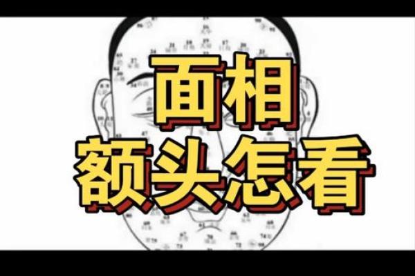 额头面相的重要性与解读技巧