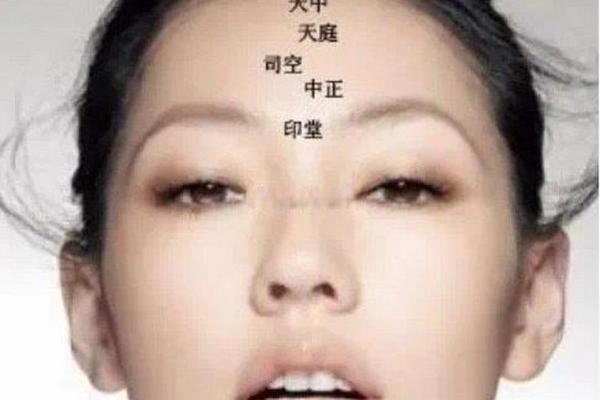 额头面相的重要性与解读技巧