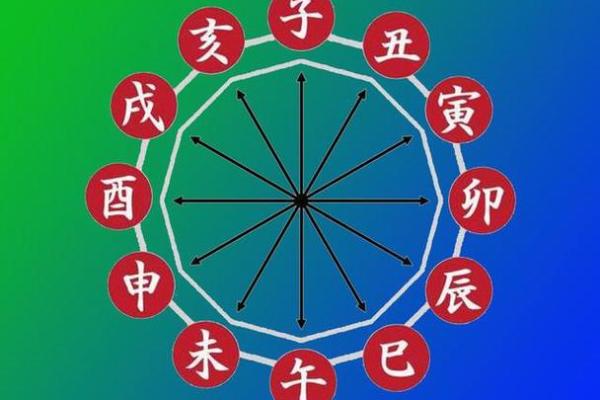 如何通过查询八字了解人生运势与命运轨迹