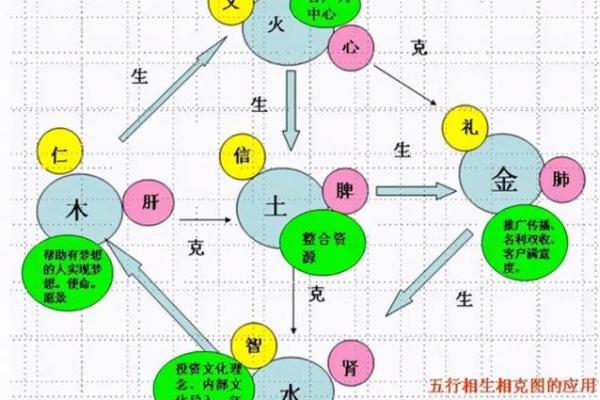 虎的五行属性解析与相关命理意义