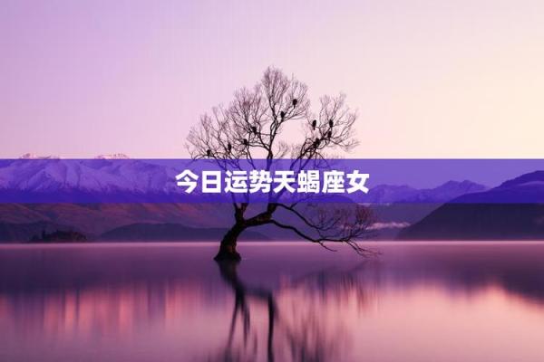 今日天蝎座运势：迎接变动与成长的机会