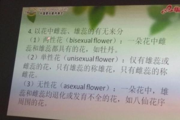 免费取名：科学与文化结合的命名方法
