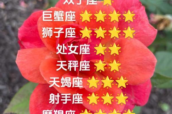 本周星座运势指南：掌握新浪星座带来的生活启示