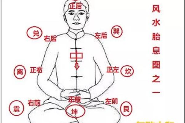 探索阳宅风水的奥秘：新手必读的实用指南